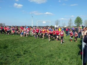 爱游戏入口-中国篮球青少年篮球发展政策落实与推广，中国青少年篮球发展现状